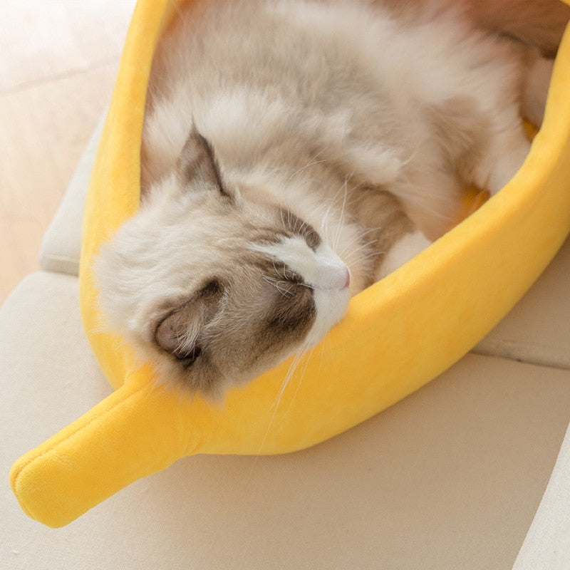 Banana seng til katt 🍌😸